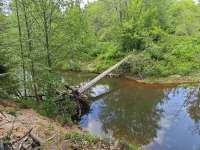 IMG20250524161356.jpg