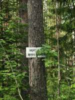 IMG20250524155416.jpg