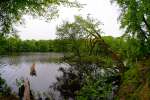 DSCF1281.JPG