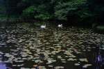 DSCF1354.JPG