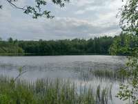 IMG20250606174853.jpg