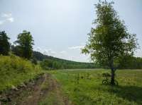 20250614113550lmc8.jpg