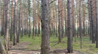 VID20250620182532.mp4