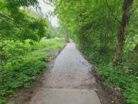 1750622389572.webp