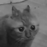 1750777982167.jpeg