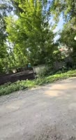1753800789128.mp4