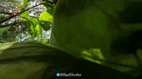 1 (1).mp4