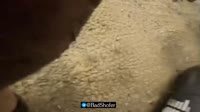 1 (9).mp4