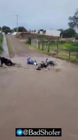 1 (8).mp4