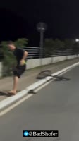 1 (4).mp4
