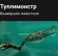 1752862340002.jpeg