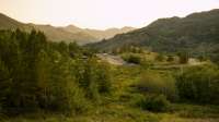 DSC01650.jpg