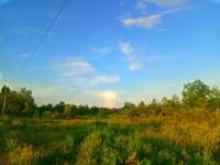 IMG20250719195533.jpg
