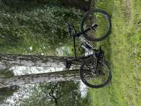 IMG5780.jpeg
