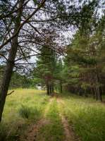 LMC20250730152447134.jpg