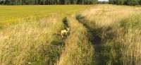 IMG20250803185517.jpg