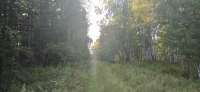 IMG20250803192031.jpg