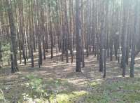 IMG20250804235043.jpg