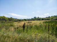 20250806124630lmc8.jpg