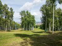 20250812134508lmc8.jpg