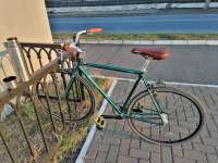 IMG20230909182504s.jpg