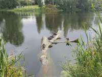 1755717820760.webp