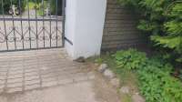 1755801799267.webp