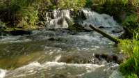 DSC01728.JPG