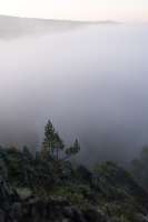 DSC01789.JPG