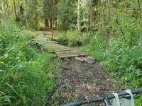 1756492058037.webp