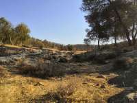 IMG20250830082516.jpg