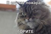 изображение.png