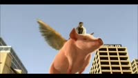 16191549772290.webm
