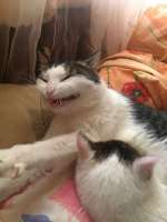 IMG0179.jpeg