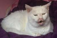 IMG0176.jpeg