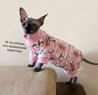 IMG0175.jpeg