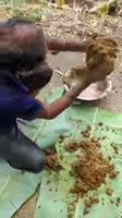 17445531236490.webm