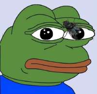 17231995509130.jpg