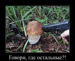 изображение2025-07-03160111827.png