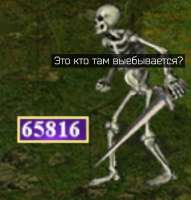 скелеты.png