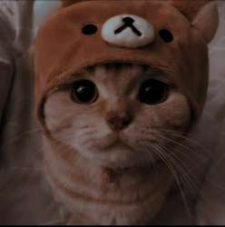 IMG4621.jpeg
