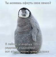 174688998767723434.png