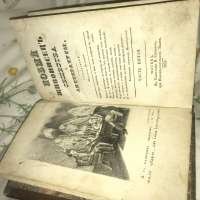 IMG7507.jpeg