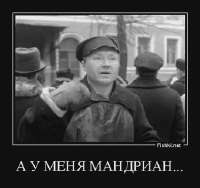 мандриан.webp