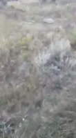 16292958623930.mp4