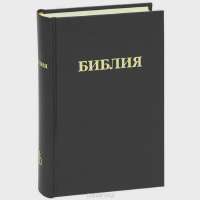 43122.webp