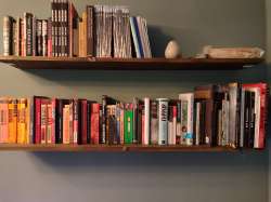 pic2.jpg