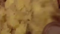 17527412631081.webm
