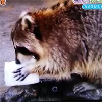 15926532221391 (convert-video-online.com).mp4
