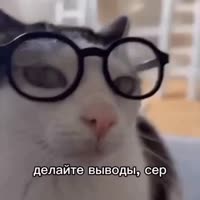 17376235923240.mp4